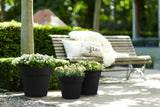 Zwarte Elho basics bloempotten 30 cm, meerdere exemplaren met groene plantjes