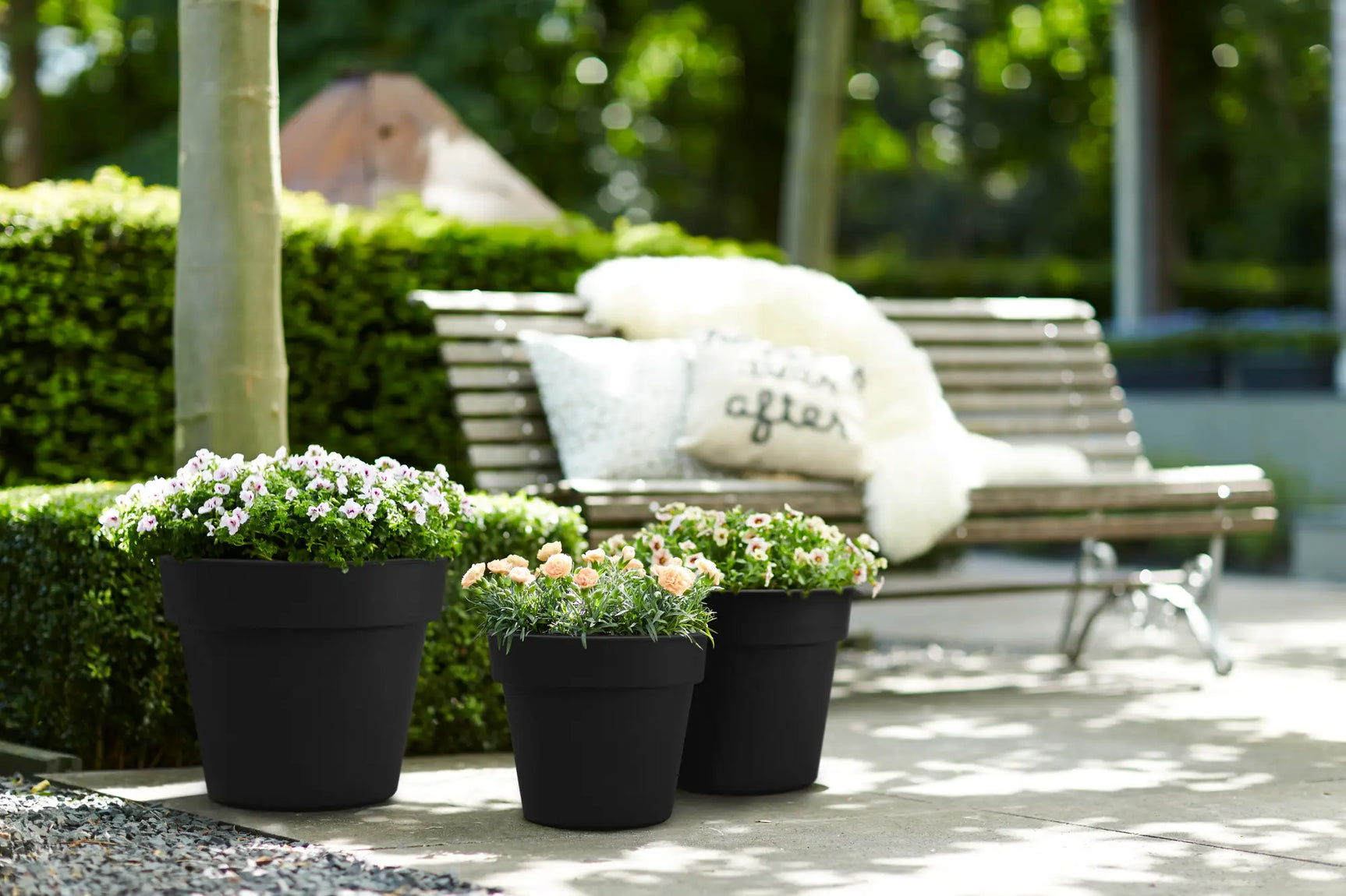 Zwarte Elho basics bloempotten 30 cm, meerdere exemplaren met groene plantjes