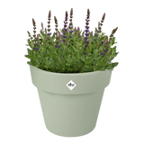 Elho plantenbak met bloemen, lichtgroene pot en brede rand