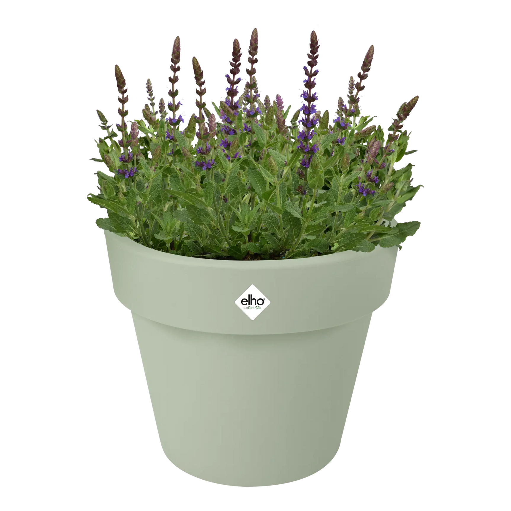 Elho plantenbak met bloemen, lichtgroene pot en brede rand