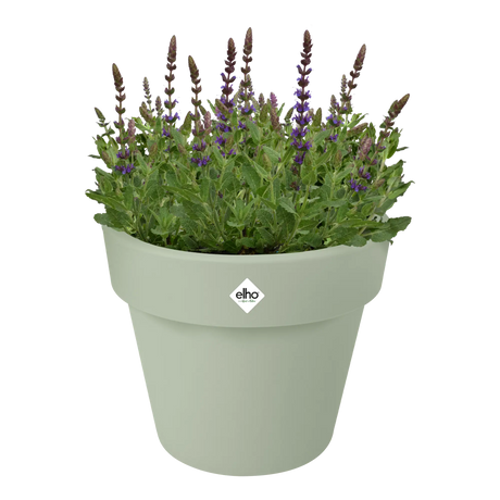 Groene Elho plantenpot met paarse bloemen en groen blad