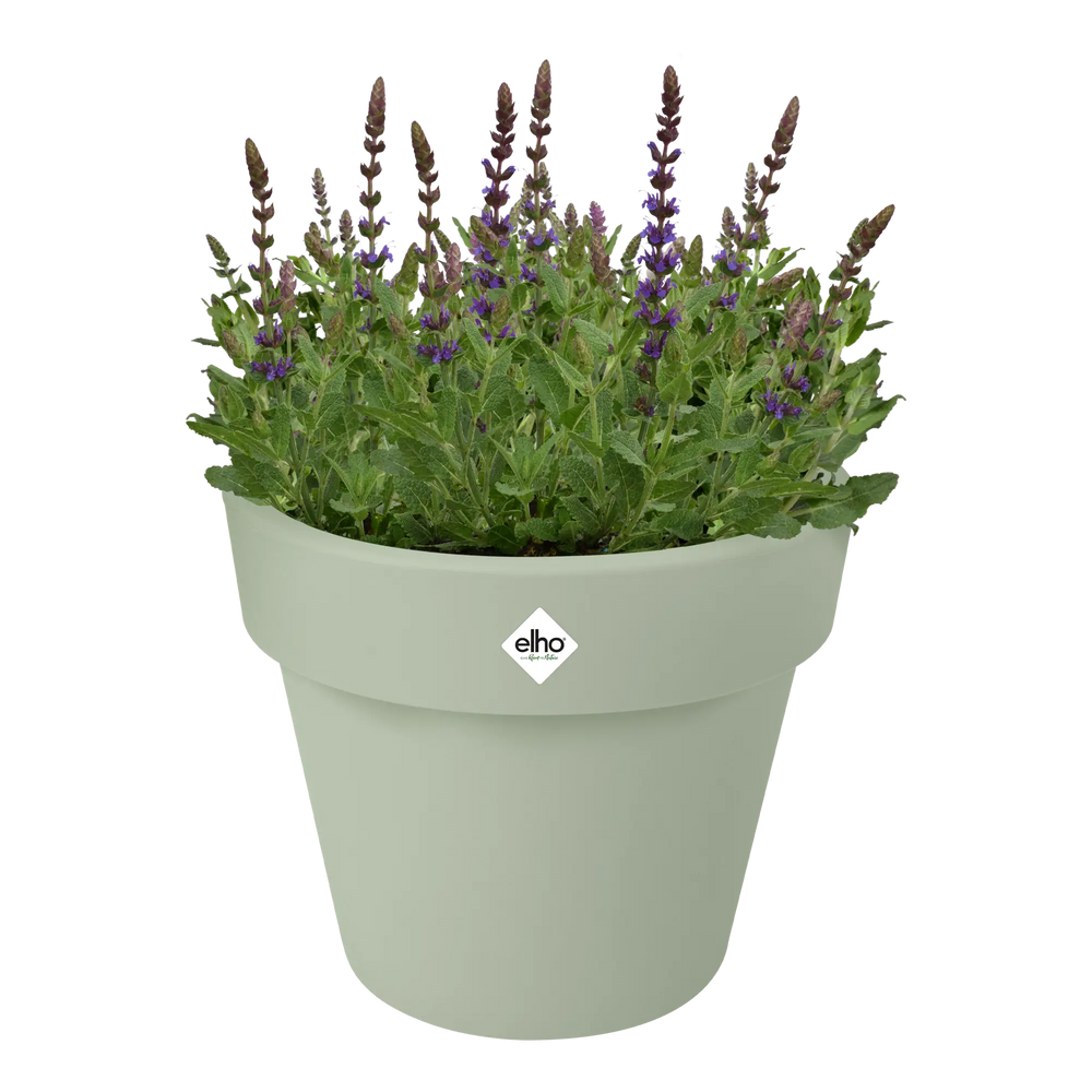 Groene Elho plantenbak met paarse bloemen en groene bladeren
