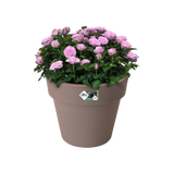 Elho plantenbak met taupe kleur, gevuld met roze rozen en groen blad.