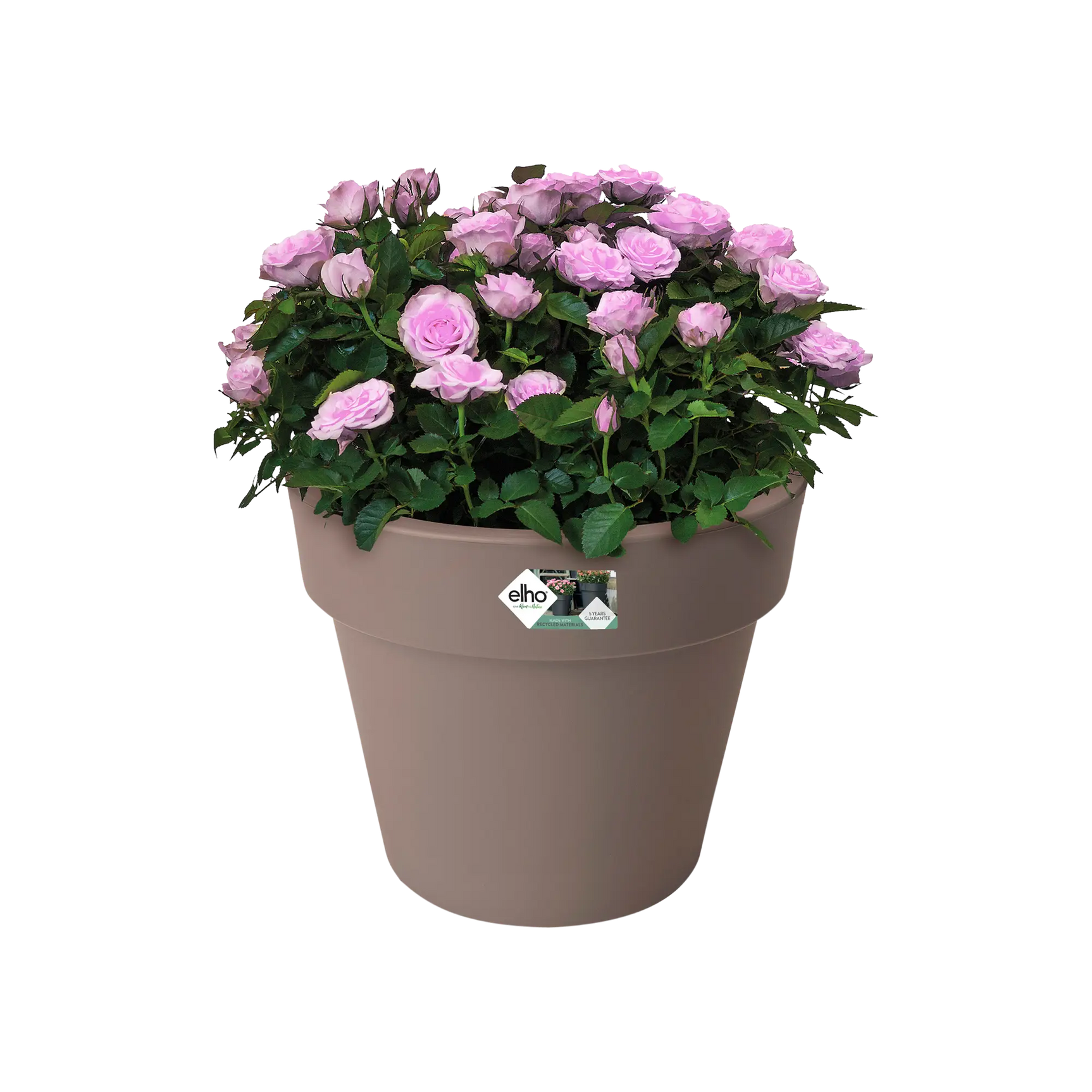 Elho plantenbak met taupe kleur, gevuld met roze rozen en groen blad.