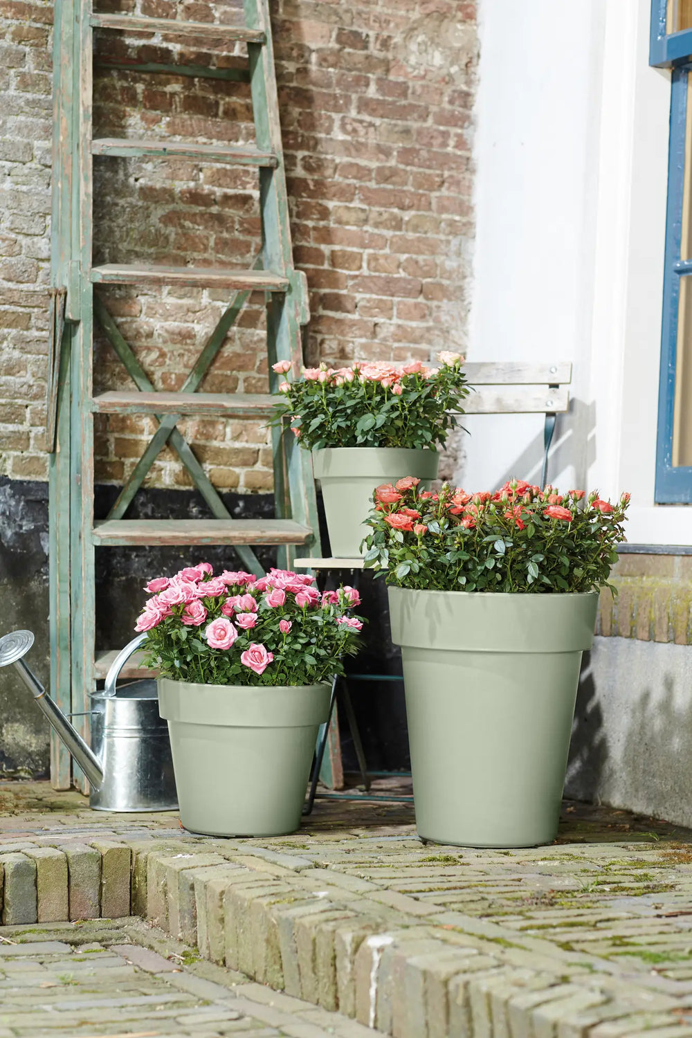 Set groene Elho plantenbakken met bloeiende bloemen op terras