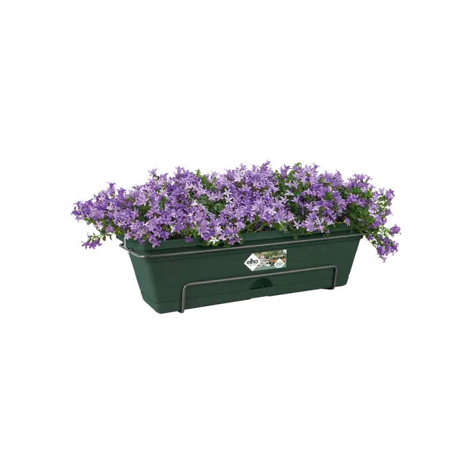 Groene balkonbak met lila bloemen, zicht op voorzijde en beugel