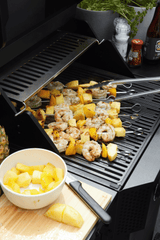 Barbecook - E-Luca elektrische barbecue