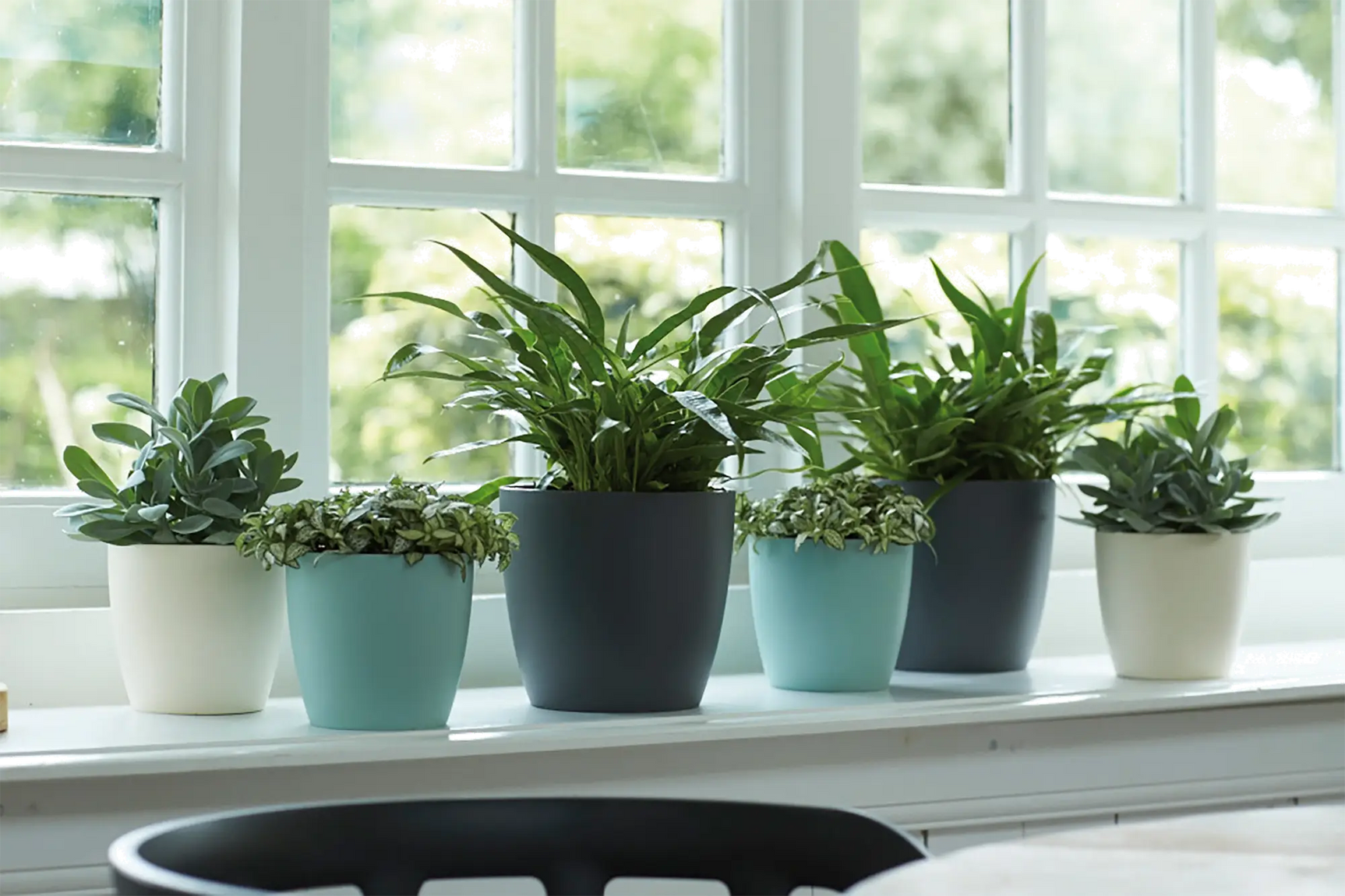 Meerdere ronde plantenbakken op een vensterbank