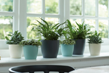 Rij ronde bloempotten, waaronder een witte