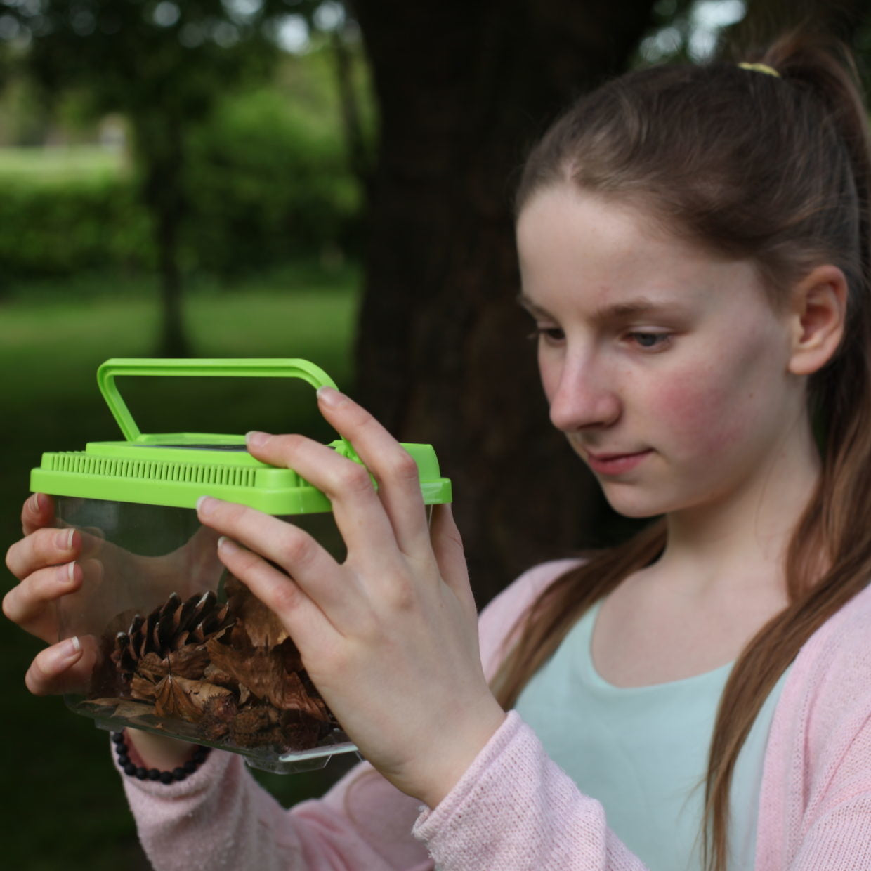 Insecten studiedoos