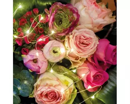Micro kerstverlichting LED 95cm - 20 lampjes