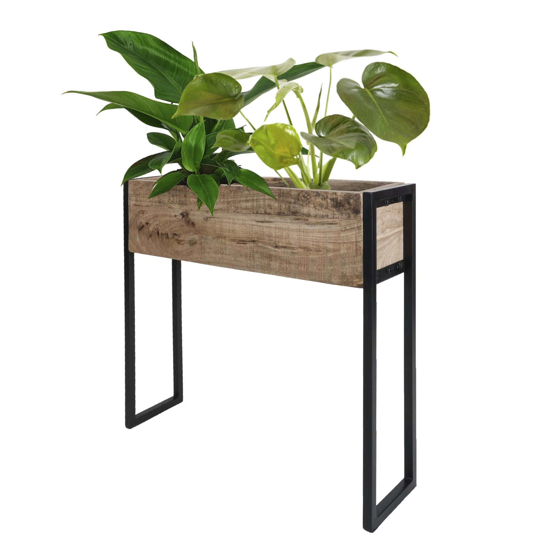 Plantenbak Faab 72 cm met houten bak en zwarte metalen poten, met plant