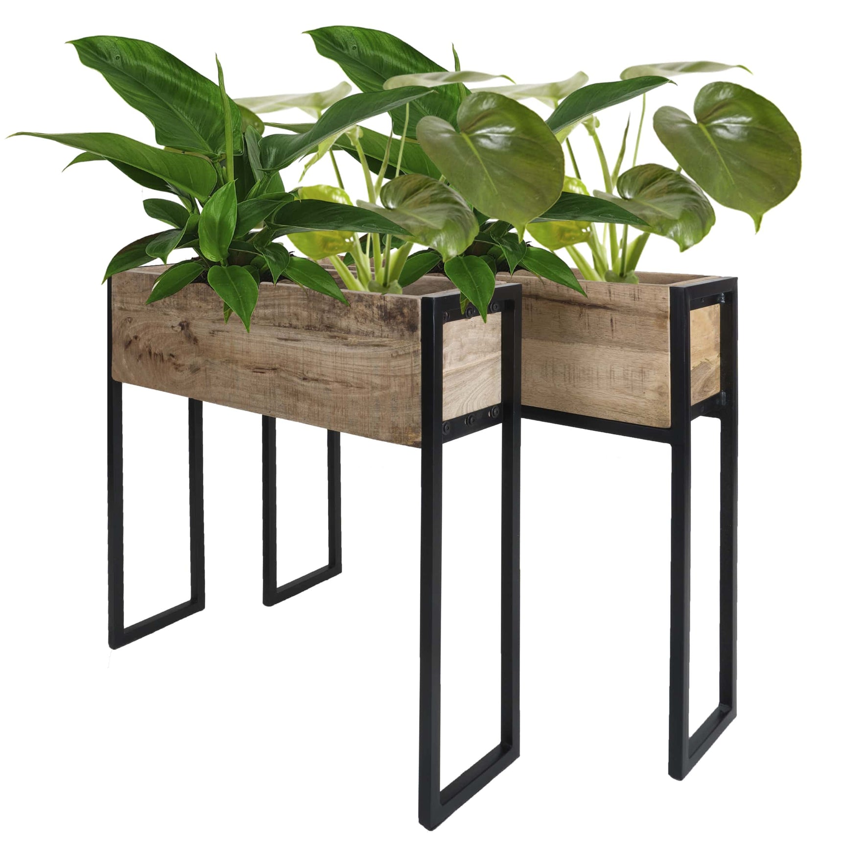Plantenbak Faab set van 2 met houten bak en zwarte metalen poten, met groene planten