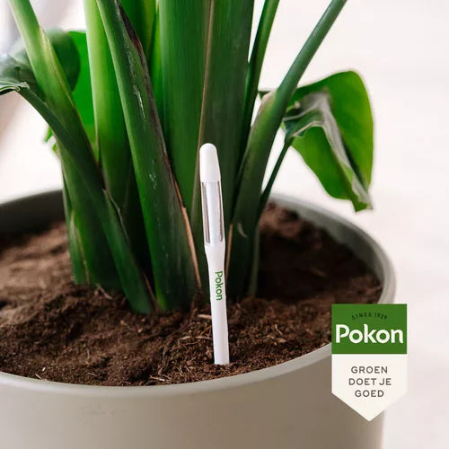 Pokon - Watermeter voor kamerplanten (1 stuks)