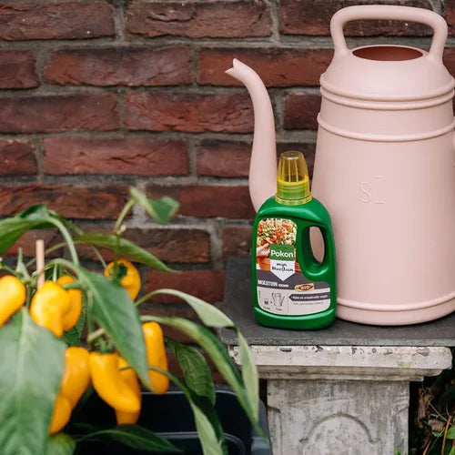 Pokon - BIO Moestuin voeding 500ml