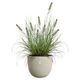 Elho - sereh rond 30cm paddenstoel beige