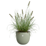 Elho - sereh rond 30cm scandinavisch groen