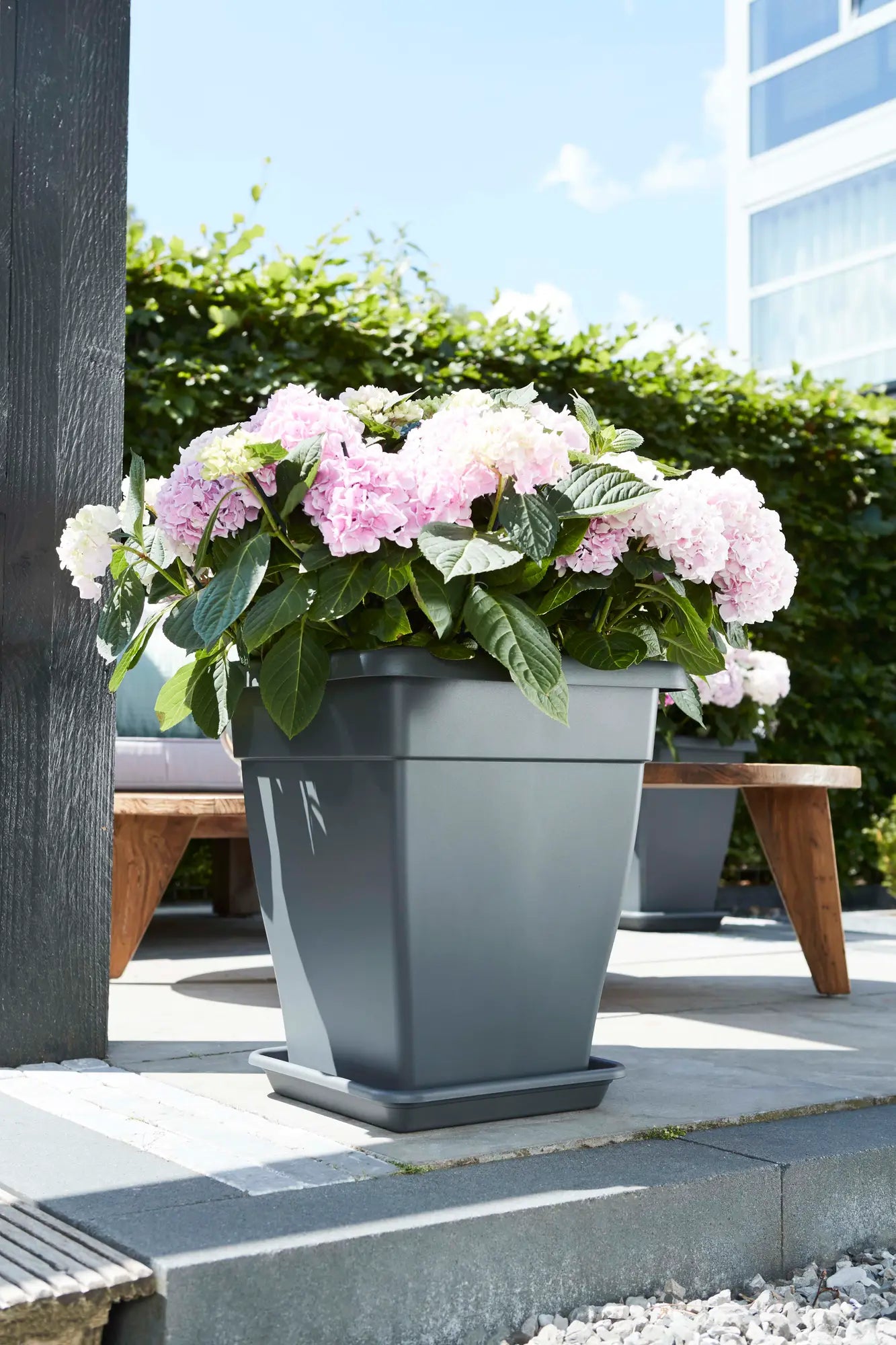 Elho - Schotel vierkant Antraciet | 20