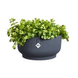 Elho vibes fold bowl 25 cm antraciet met groene plant, geribbelde schaal en elho-logo