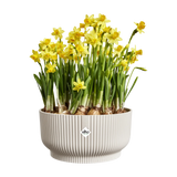 Elho - vibes fold bowl 25cm linnen wit