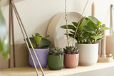 Linnen-witte mini bloempot met plant, geribde wanden