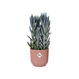 Elho - vibes fold rond 25cm delicate pink