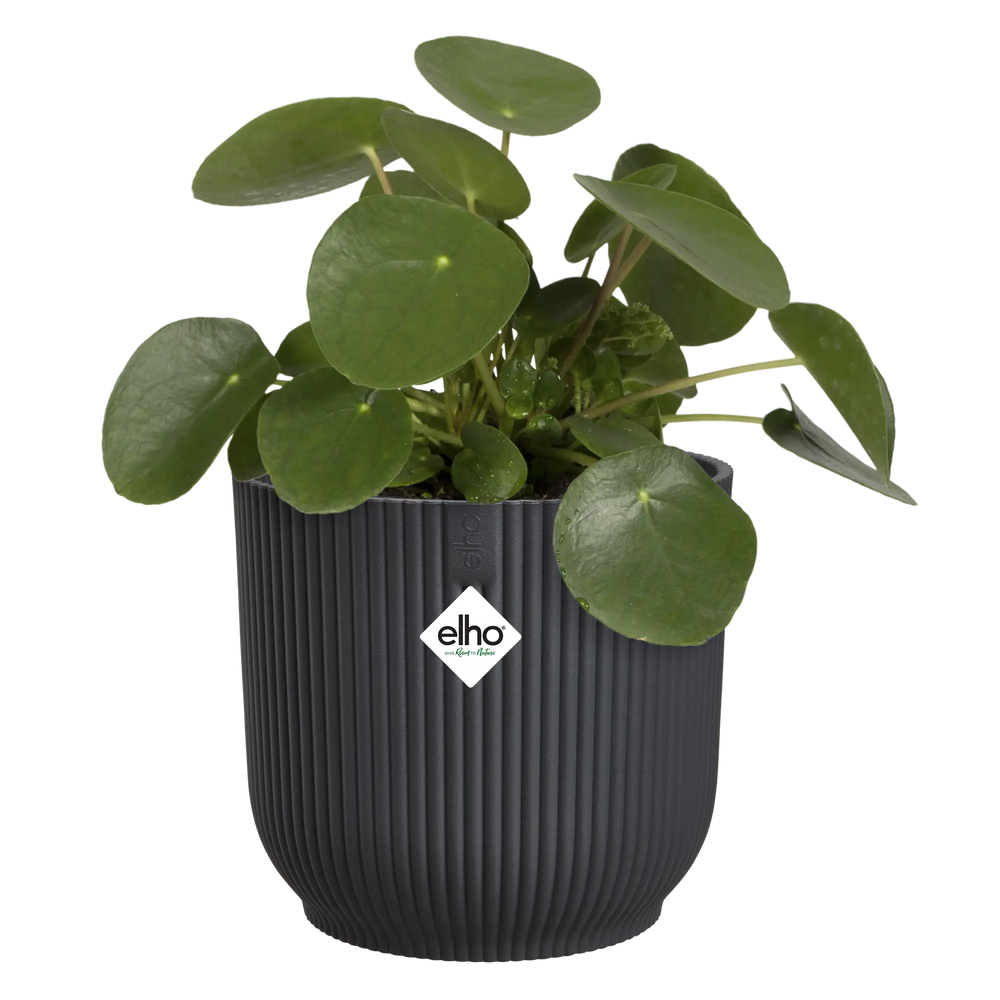 Elho - vibes fold rond 18cm antraciet