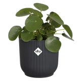 Elho ronde bloempot antraciet met groene plant en Elho-logo op de zijkant