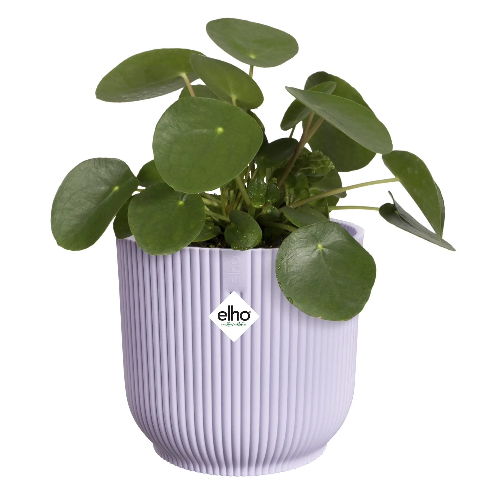 Lila ronde pot met ribbels en groene plant in de pot, elho-label zichtbaar
