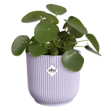 Elho bloempot met plant, zacht lila ribbelstructuur en elho-sticker