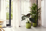Groene Elho plantenpotten met bladplanten bij raam