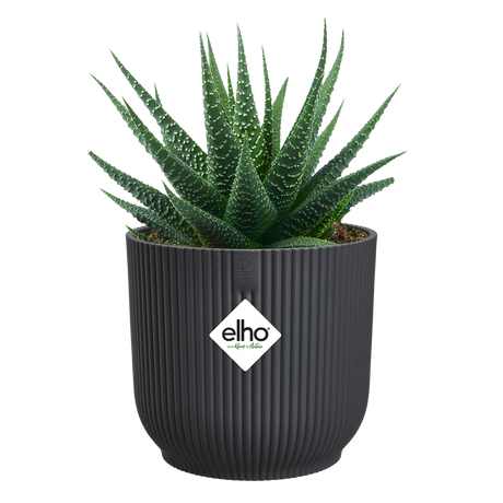 Elho - vibes fold rond mini 11cm antraciet