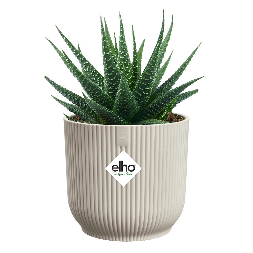 Elho mini bloempot met cactussen, geribd linnen wit