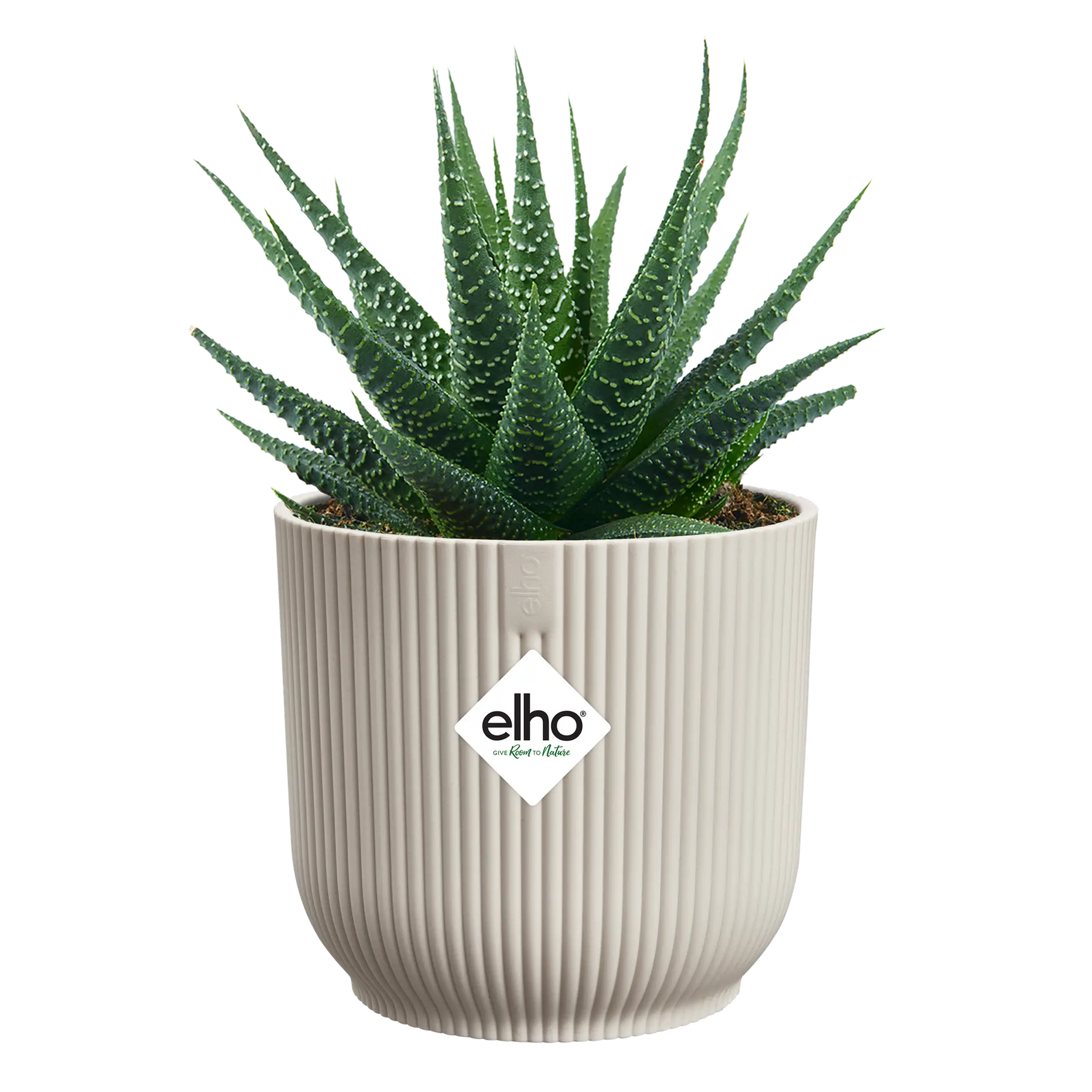 Elho mini bloempot met cactussen, geribd linnen wit