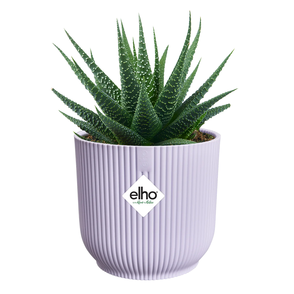 Elho Vibes fold mini bloempot met cactus, zacht lila en verticale ribben
