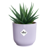 Elho Vibes fold mini bloempot met cactus, zacht lila en verticale ribben