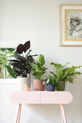 Elho - vibes fold rond 18cm antraciet